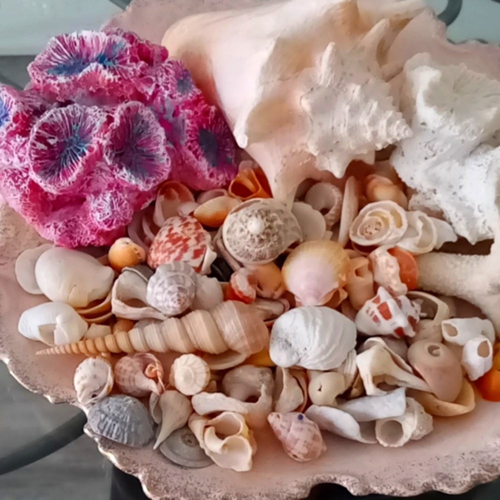 Misc shells